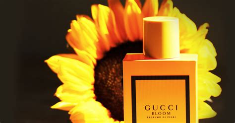 gucci yellow bloom|Gucci Bloom release date.